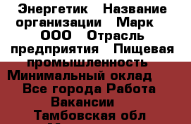 Энергетик › Название организации ­ Марк 4, ООО › Отрасль предприятия ­ Пищевая промышленность › Минимальный оклад ­ 1 - Все города Работа » Вакансии   . Тамбовская обл.,Моршанск г.